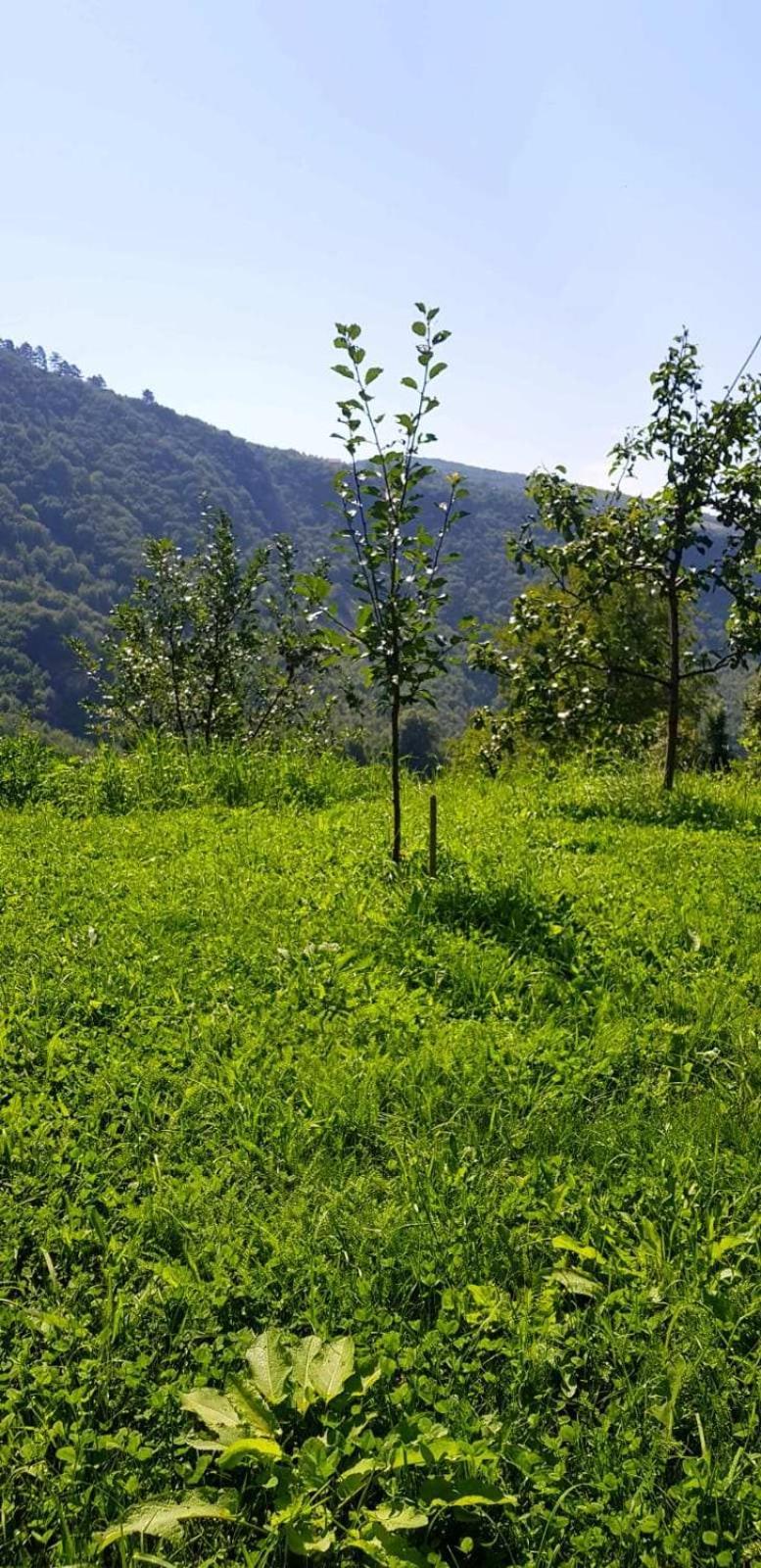 Family Apartment With Garden Sarajevo Esterno foto