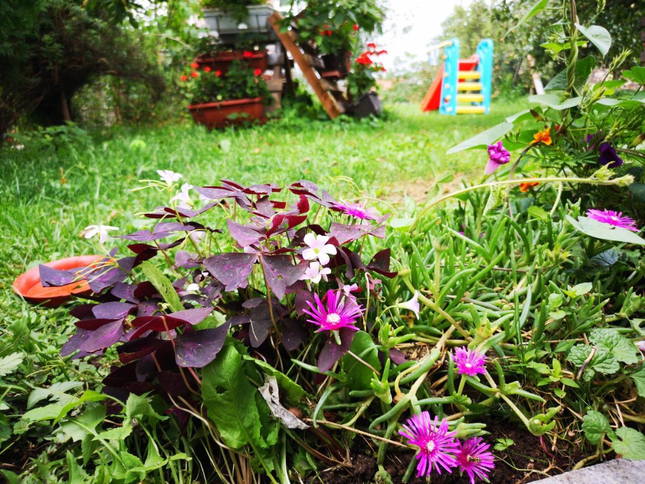 Family Apartment With Garden Sarajevo Esterno foto