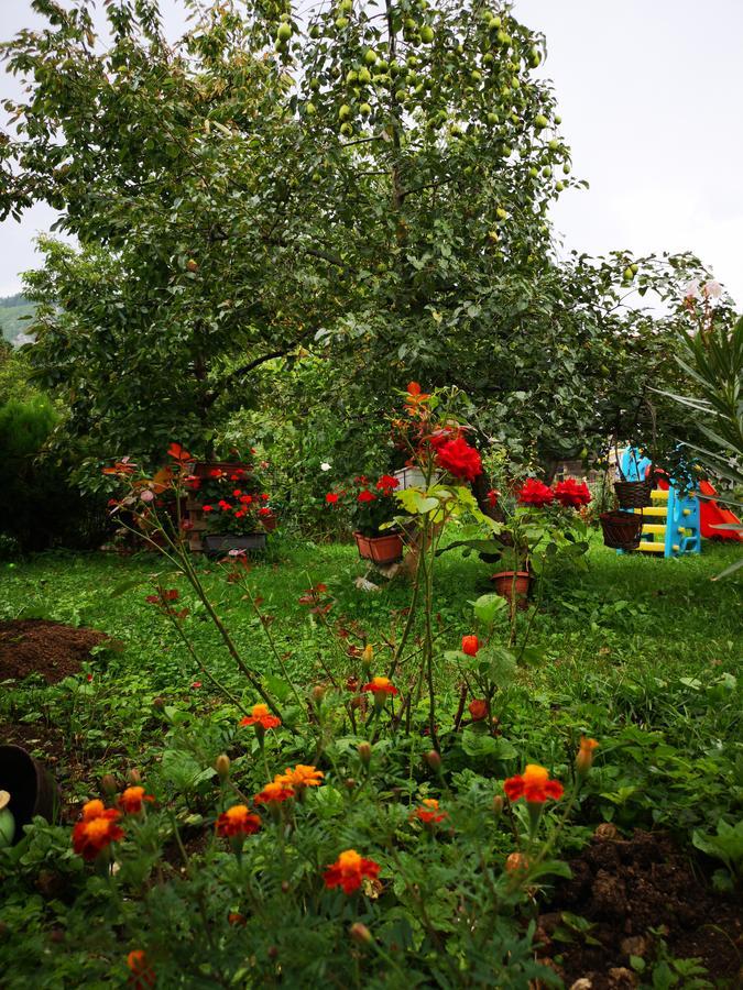 Family Apartment With Garden Sarajevo Esterno foto