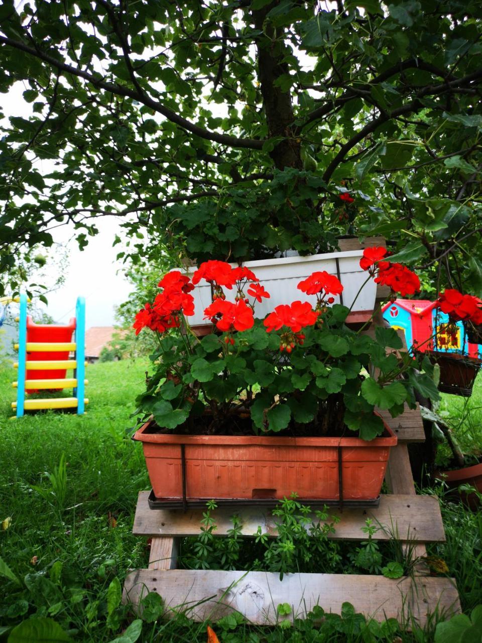 Family Apartment With Garden Sarajevo Esterno foto