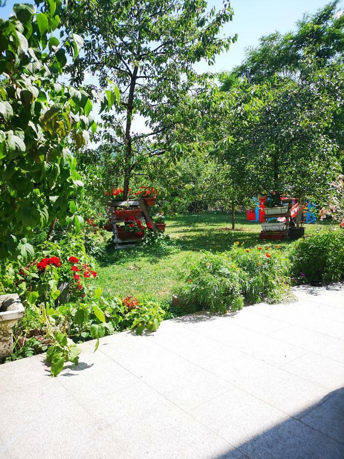 Family Apartment With Garden Sarajevo Esterno foto